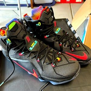 Lebron James XII